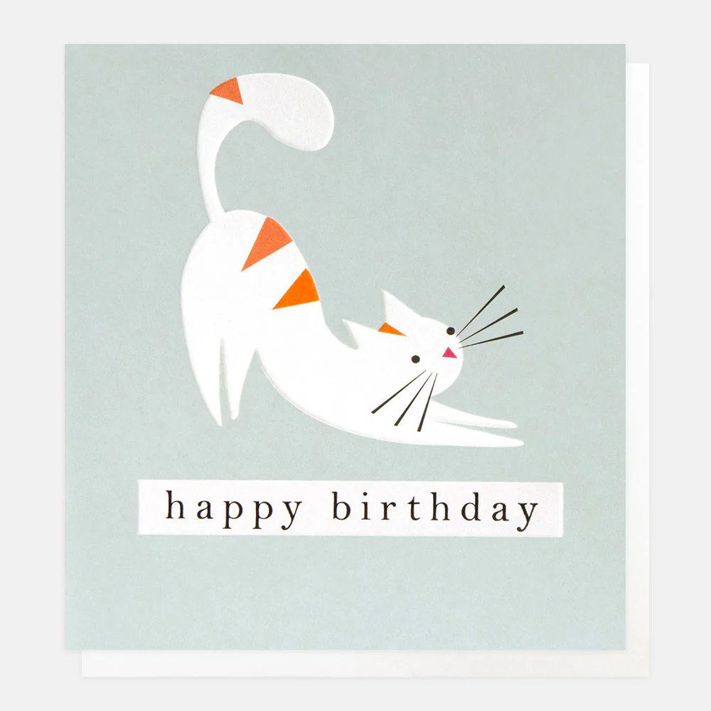 Stretching Cat On Blue Birthday Card